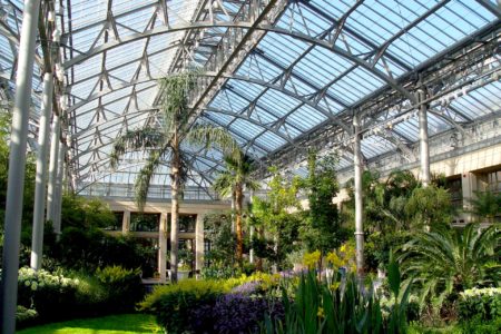 a shot of an inside of a garden center greenhouse