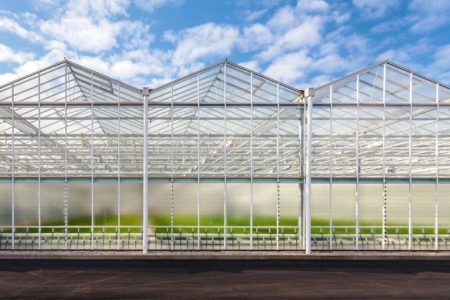 a shot of a greenhouse from the outside