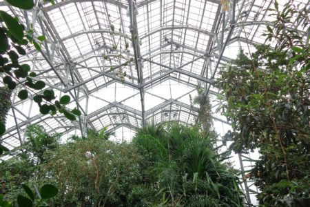a shot of the atrium skylights from the inside of the greenhouse
