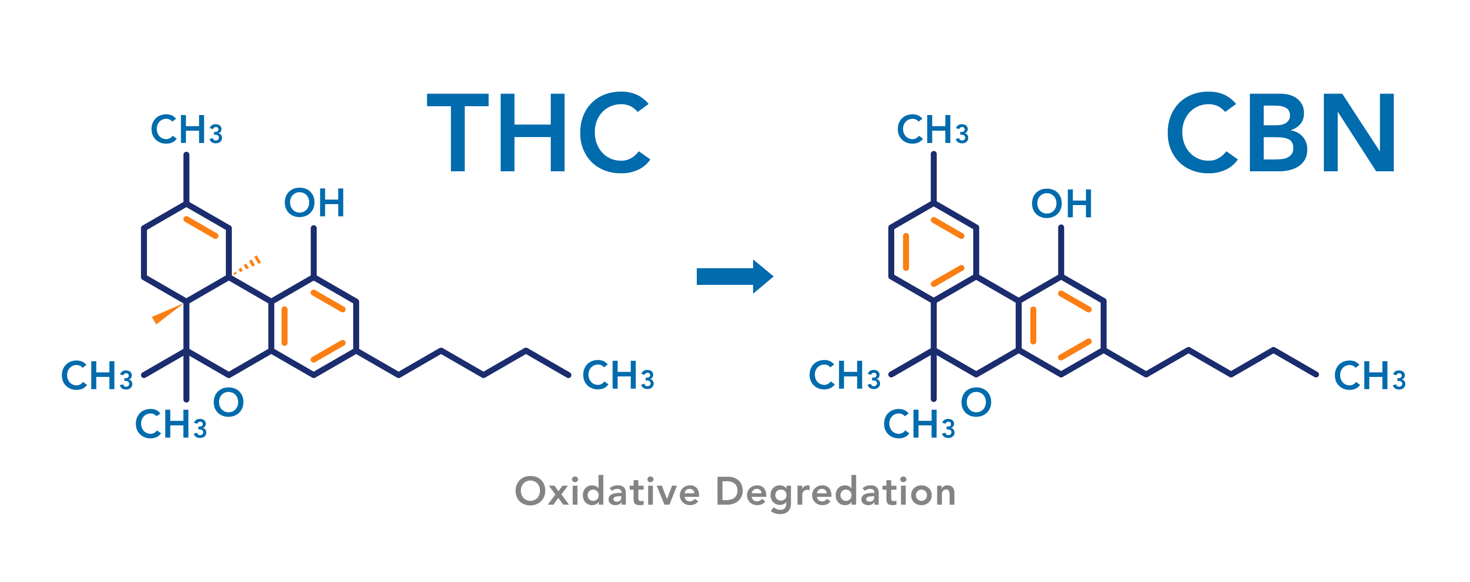 Extract CBN Oil - Oxidative Degredation