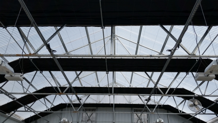 You can use greenhouse blackout curtains to change the daylength of your crop.