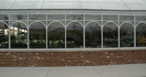 a shot of an Arched Greenhouse with Glass walls designed by Prospiant