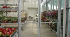 a picture of a Walk Door in an indoor greenhouse
