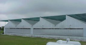 a shot of a row of greenhouses with Exterior Shade Curtains