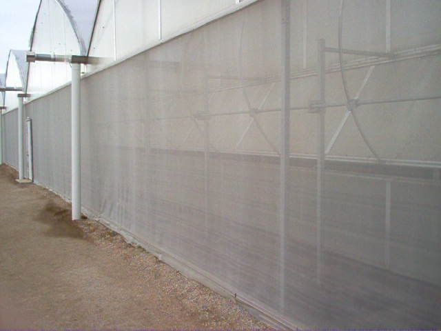 Insect screening bars the entry of greenhouse pests into the greenhouse.