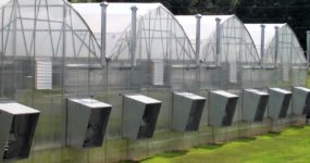 A shot of a Grand Tetons greenhouse with Polyethylene walls and roof with exhaust fans mounted on the side walls