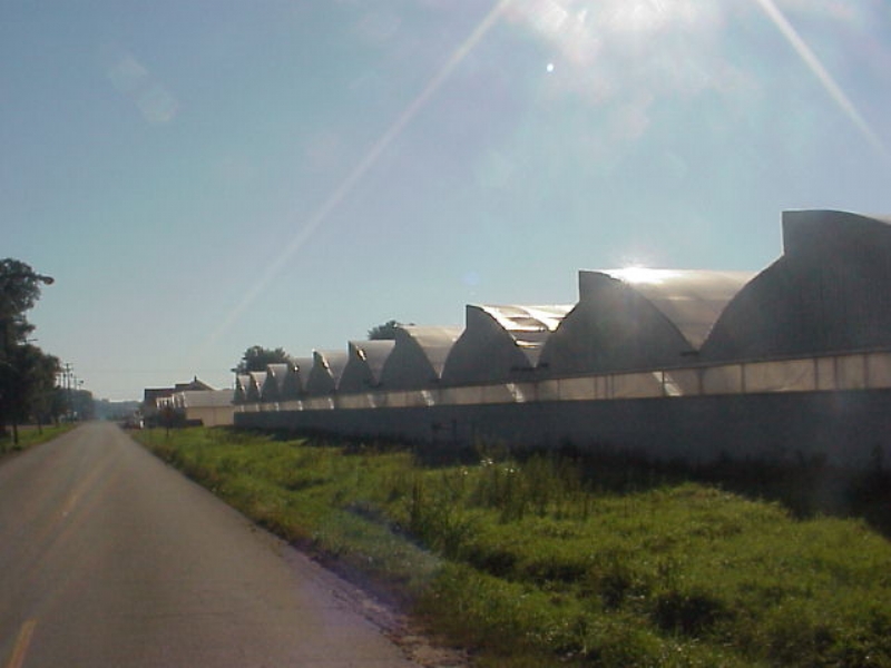 Range of Zephyr greenhouses used for floriculture production.