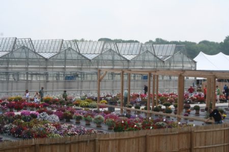 Dual Atrium flower greenhouses at Lucas Greenhouses, NJ