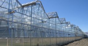 a side view of the Prospiant's Dual Atrium greenhouse under clear blue sky