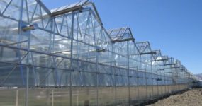 a side view of the Dual Atrium greenhouse with a Structured Sheet