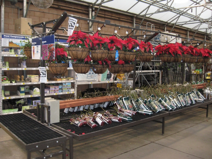 a shot of a Retail Display Benches in a shop