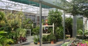 a shot of a Sliding Doors on a wall of a greenhouse