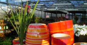 a shot of pots stacked on top of each other in a dual atrium retail greenhouse