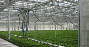 a shot of Irrigation Booms in a greenhouse with sliding doors