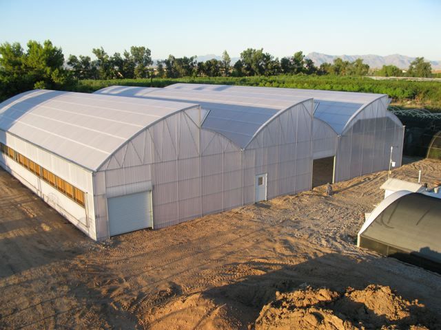 Skyline Nursery