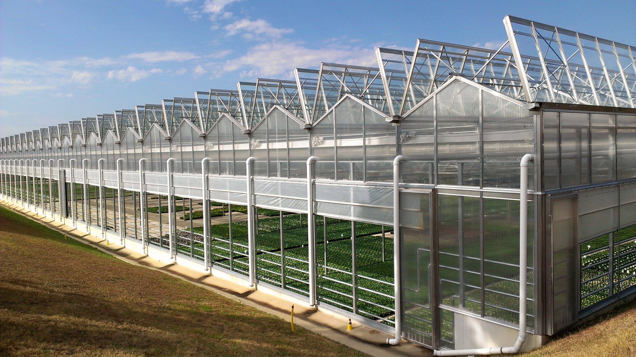 Commercial Greenhouses The Open Roof Greenhouse