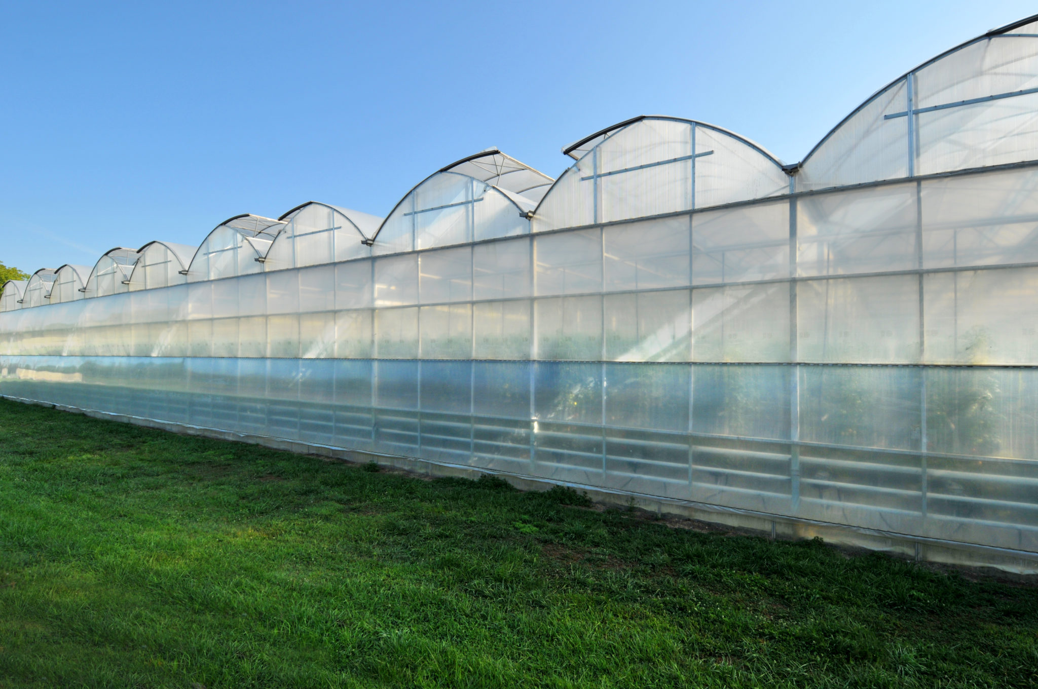Commercial Greenhouses The Poly Arch SQ Greenhouse