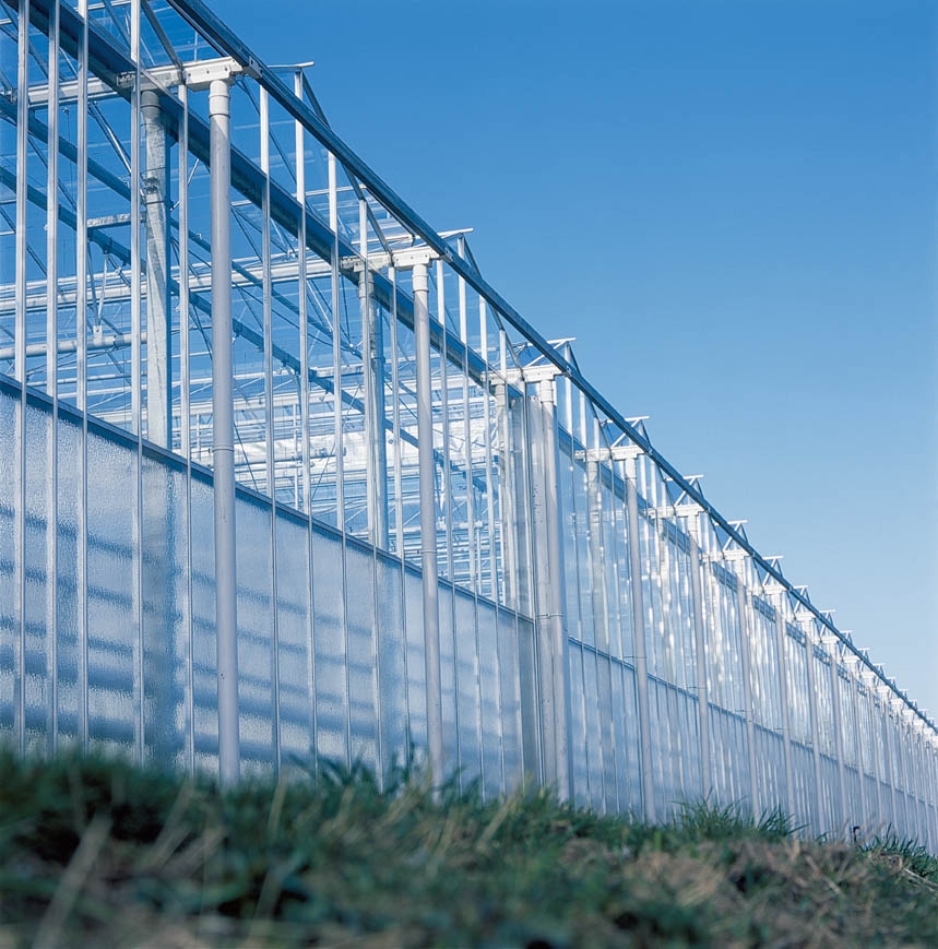 Tall Venlo style greenhouse with height for more air volume.