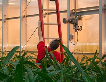 Man inspecting greenhouse for any gaps, cracks, or crevices that need to repair to keep greenhouse pests out.