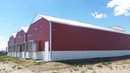 a view from outside of a cannabis greenhouse with red walls and ventilation fans on the wall