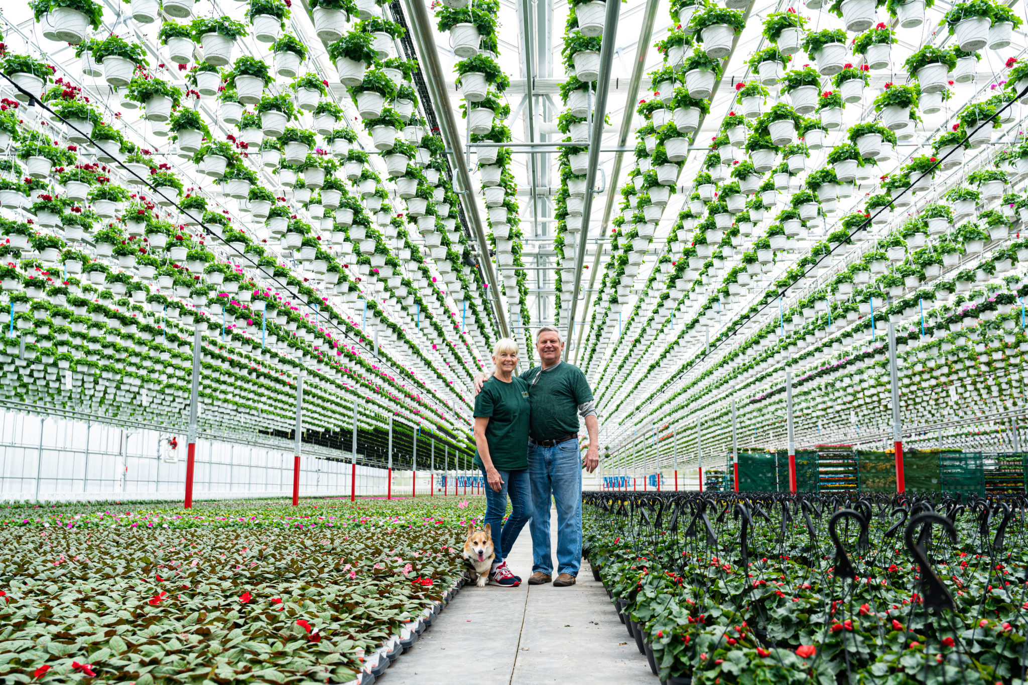 Lucas Greenhouse Thrives with Vail Atrium Prospiant