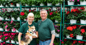 an image of the owners for the Lucas Greenhouses taken in front of potted flowers stacked on shelves with the lady holding a dog