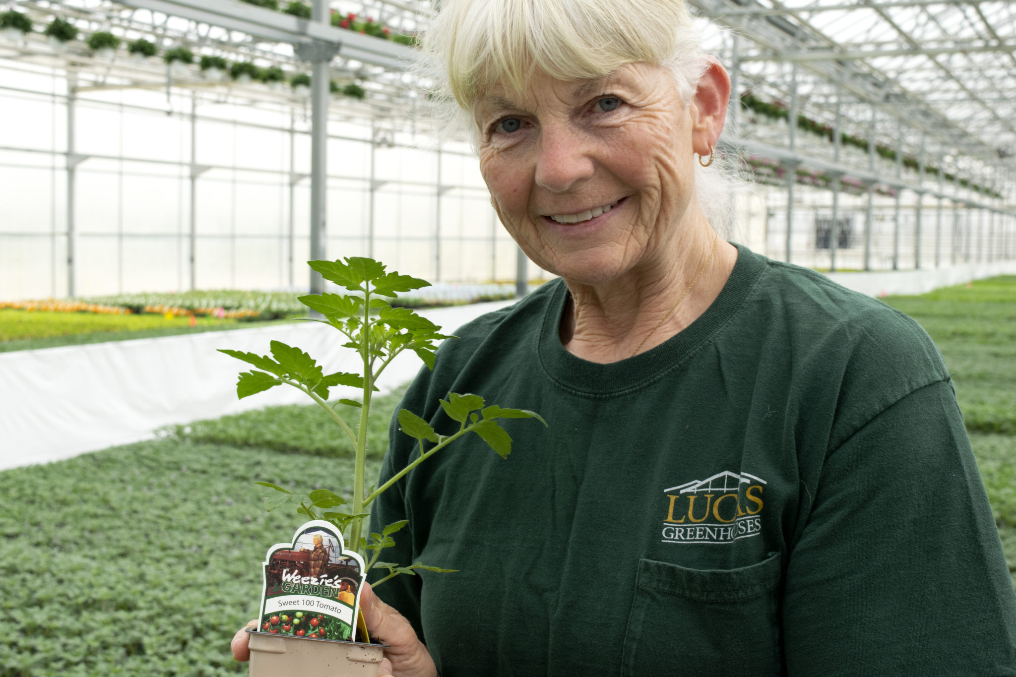 Lucas Greenhouse Thrives with Vail Atrium Prospiant