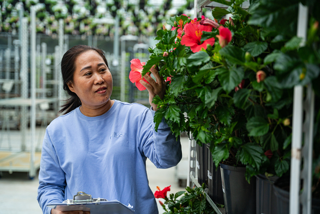 woman inspecting greenhouse