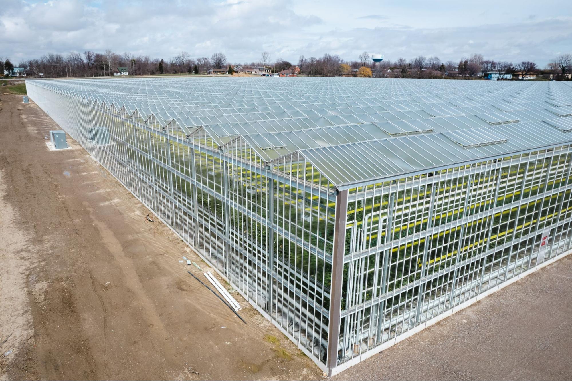 Greenhouse Installation What to Expect Prospiant