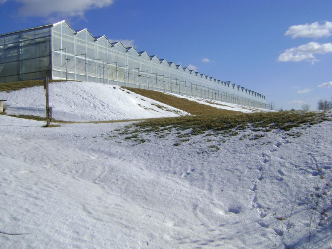Prospiant offers technology-driven custom made greenhouses designed to shield plants from severe weather conditions