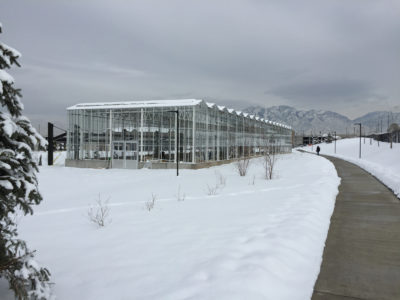 a view of a Venlo Greenhouse during winter surrounded by snow with a snow mountain from afar in the background