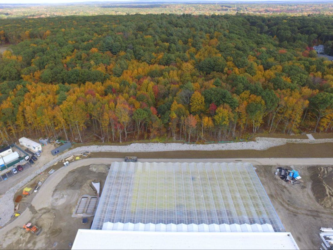 Aerial shot of greenhouse growing operation