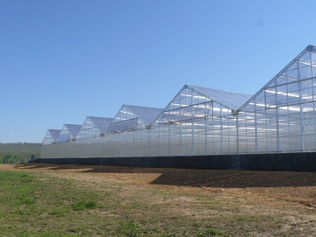 Range of gutter-connected greenhouses with side-peak venting