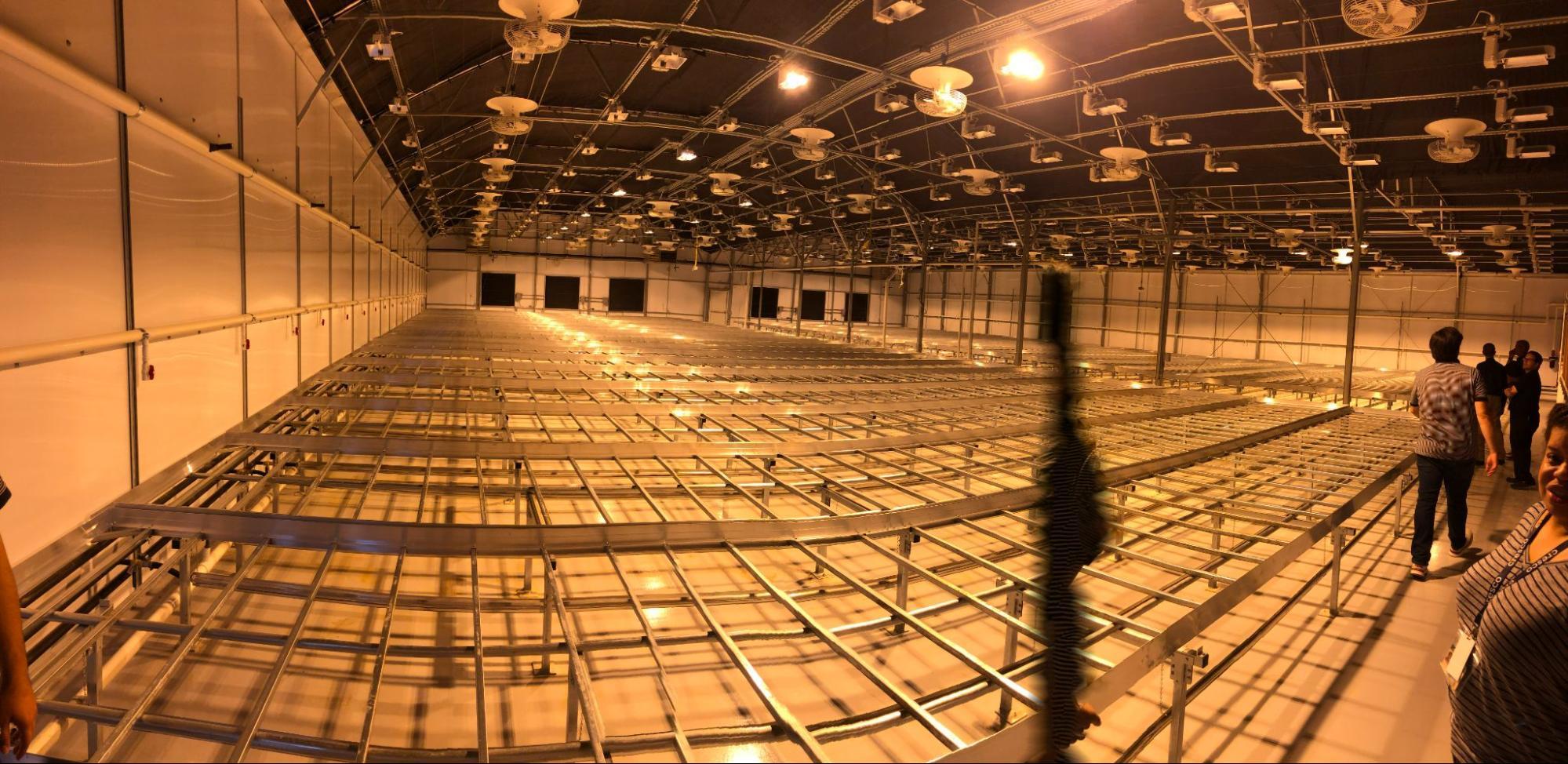 a shot of the inside of a Blackout Cannabis greenhouse in the process of development