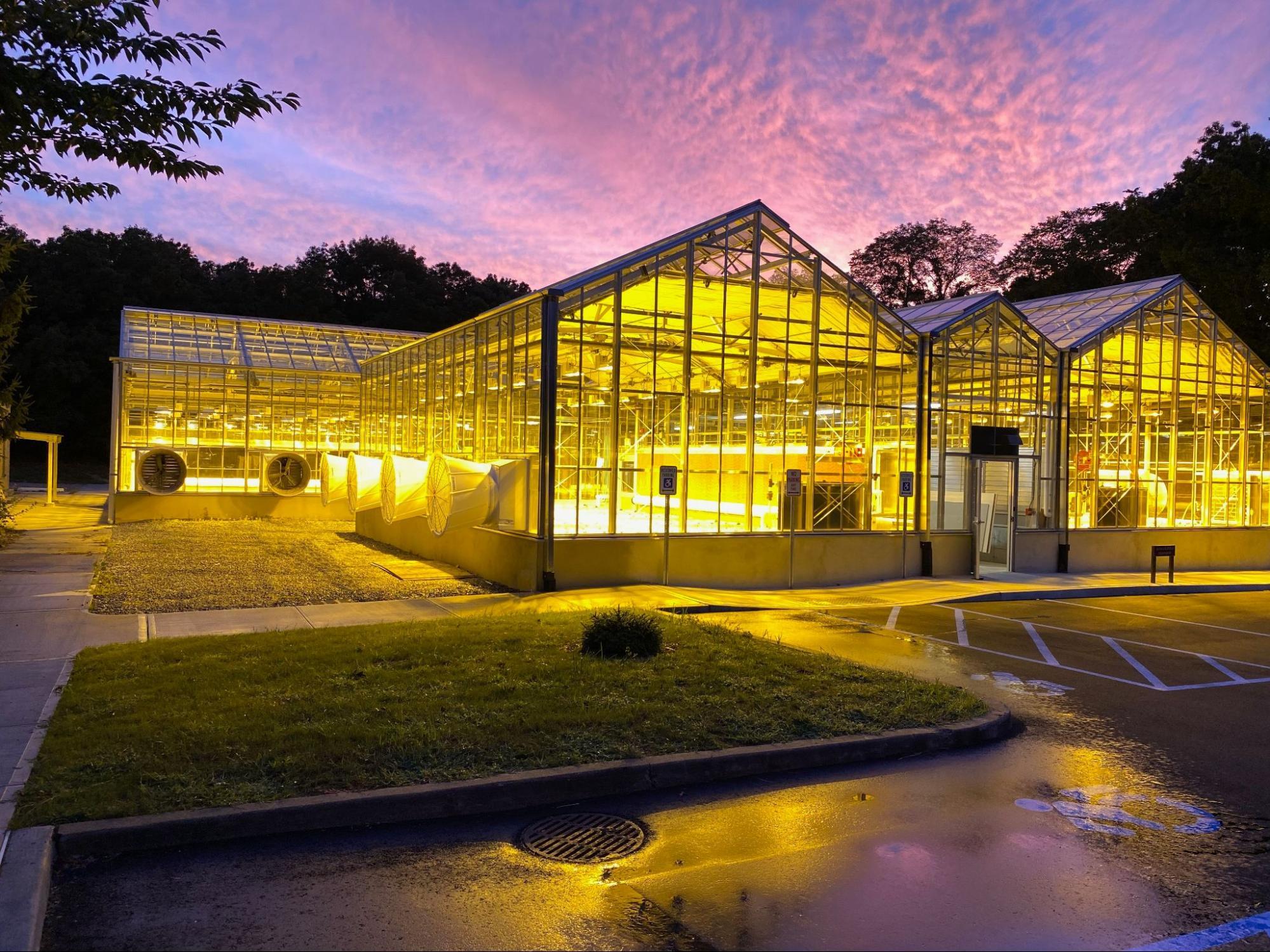 a shot of a greenhouse at dusk from the outside on the front side with yellow lights and glass walls