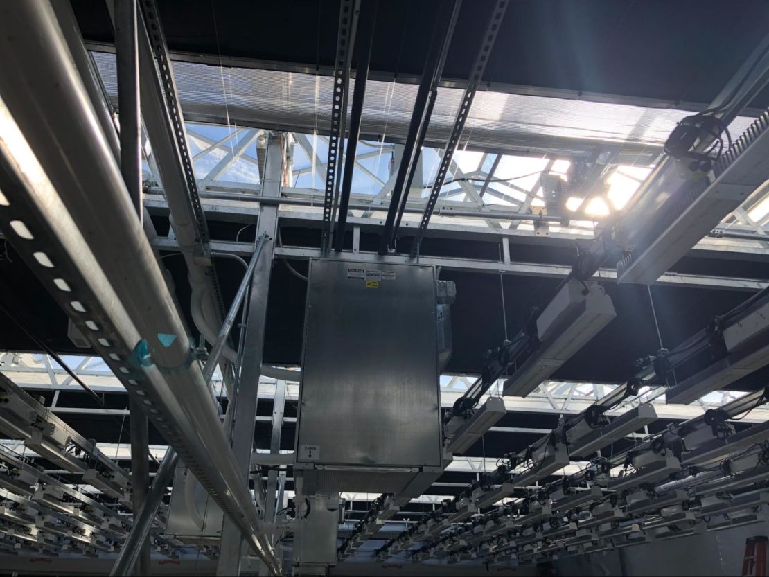 Shading system in commercial greenhouse

