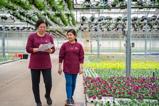 women inspecting greenhouse