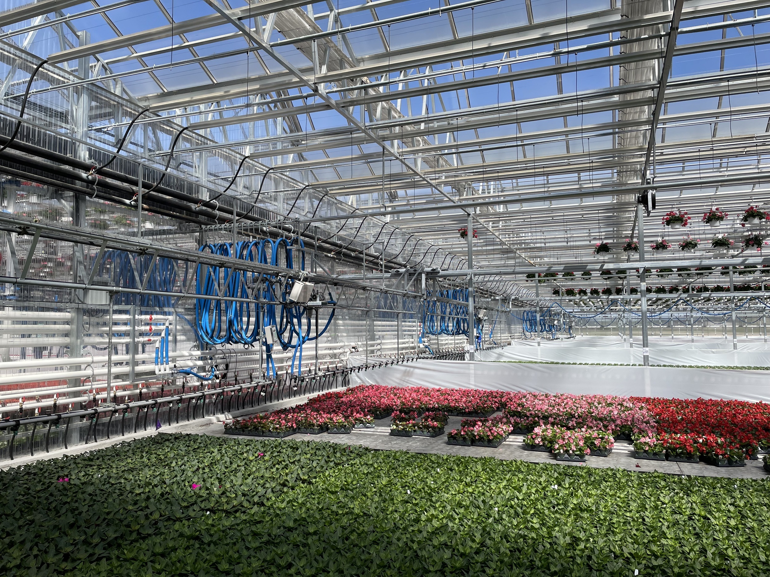 Irrigation boom and hot water heating installed in Dual Atrium greenhouse.