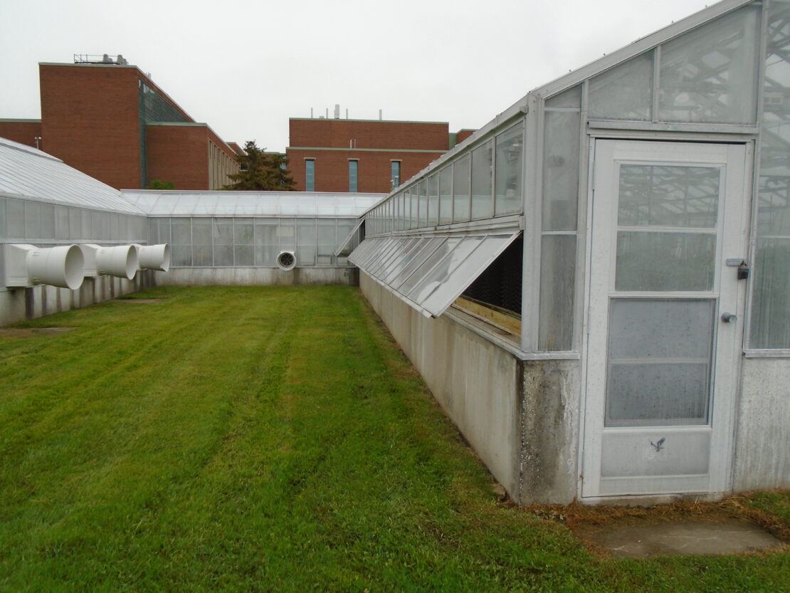 MSU plant science buildings to receive new greenhouse climate control.