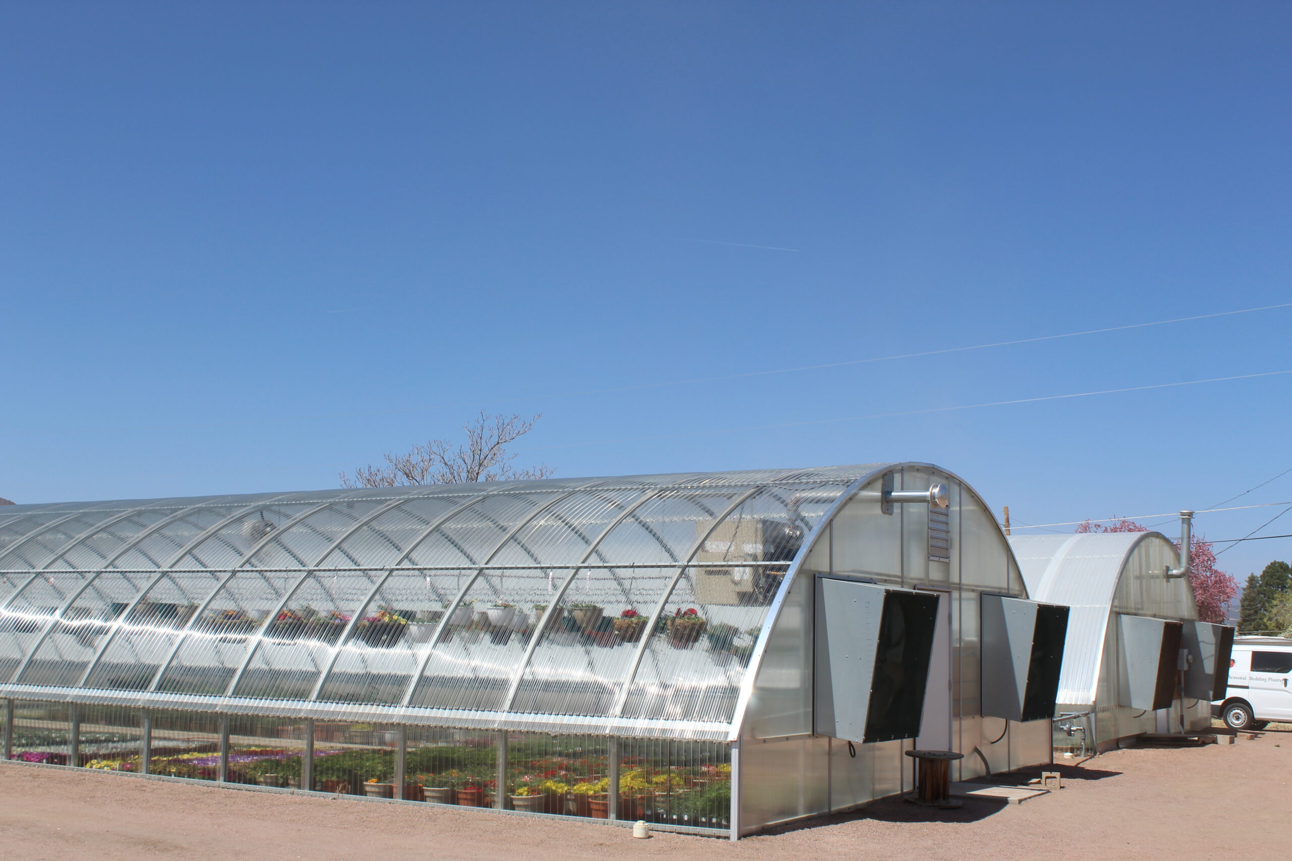 Columbine freestanding greenhouse with mechanical ventilation at Elm Avenue Greenhouse, CO.