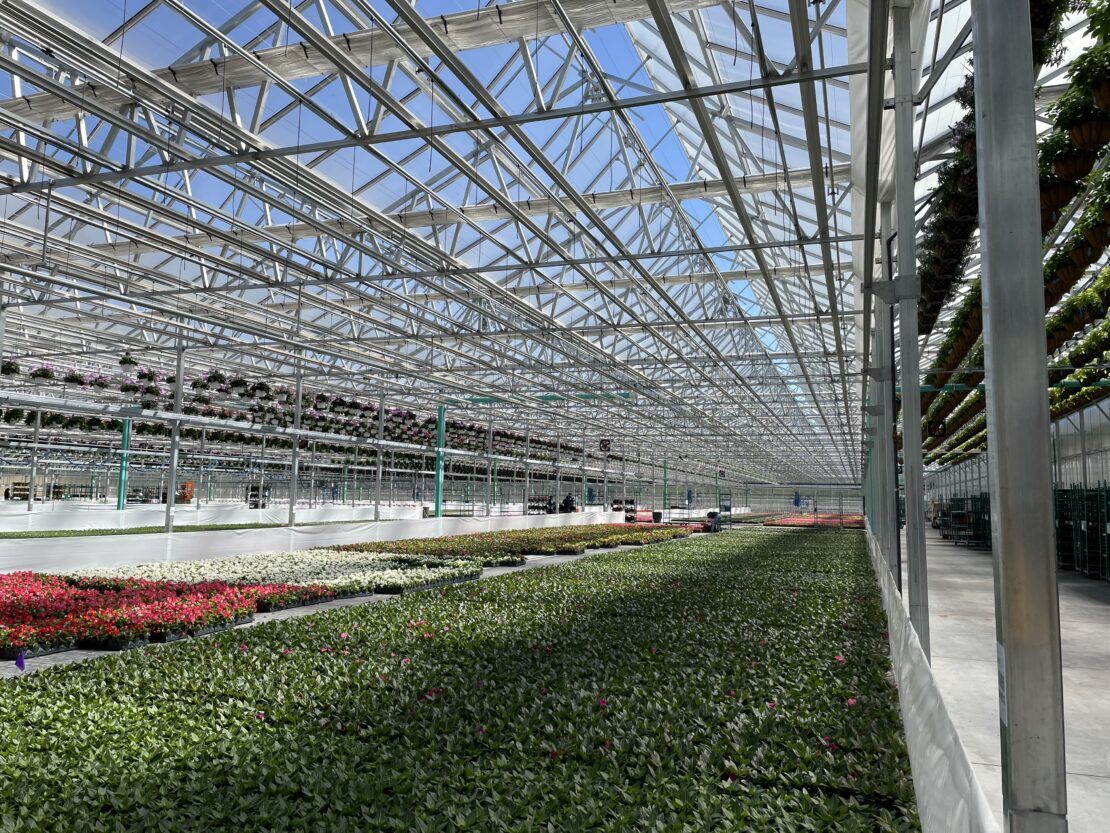 42-inch span Dual Atrium greenhouse