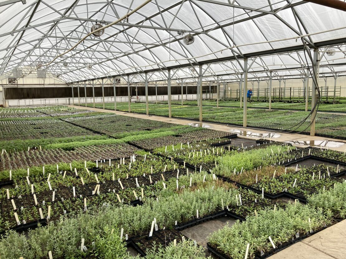 Interior of Grand Teton greenhouse structure