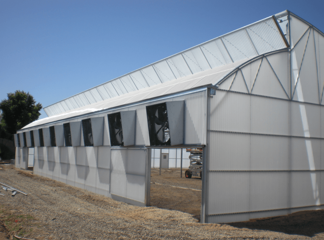 Zephyr greenhouse with mechanical ventilation at Plantorium Greenhouse, CO.
