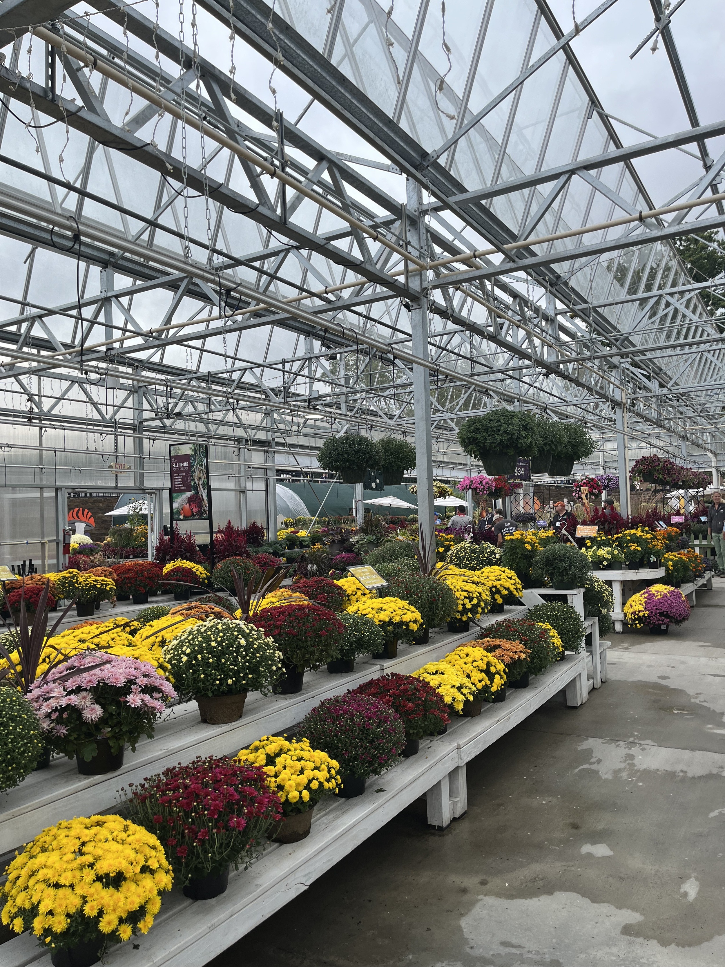 White Oak Gardens' has an 11,138-square-foot, open-roof, glass greenhouse with an A-Frame Headhouse.