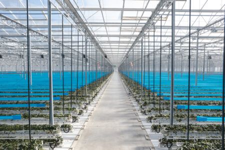 Premier Commercial Greenhouse Company | Prospiant