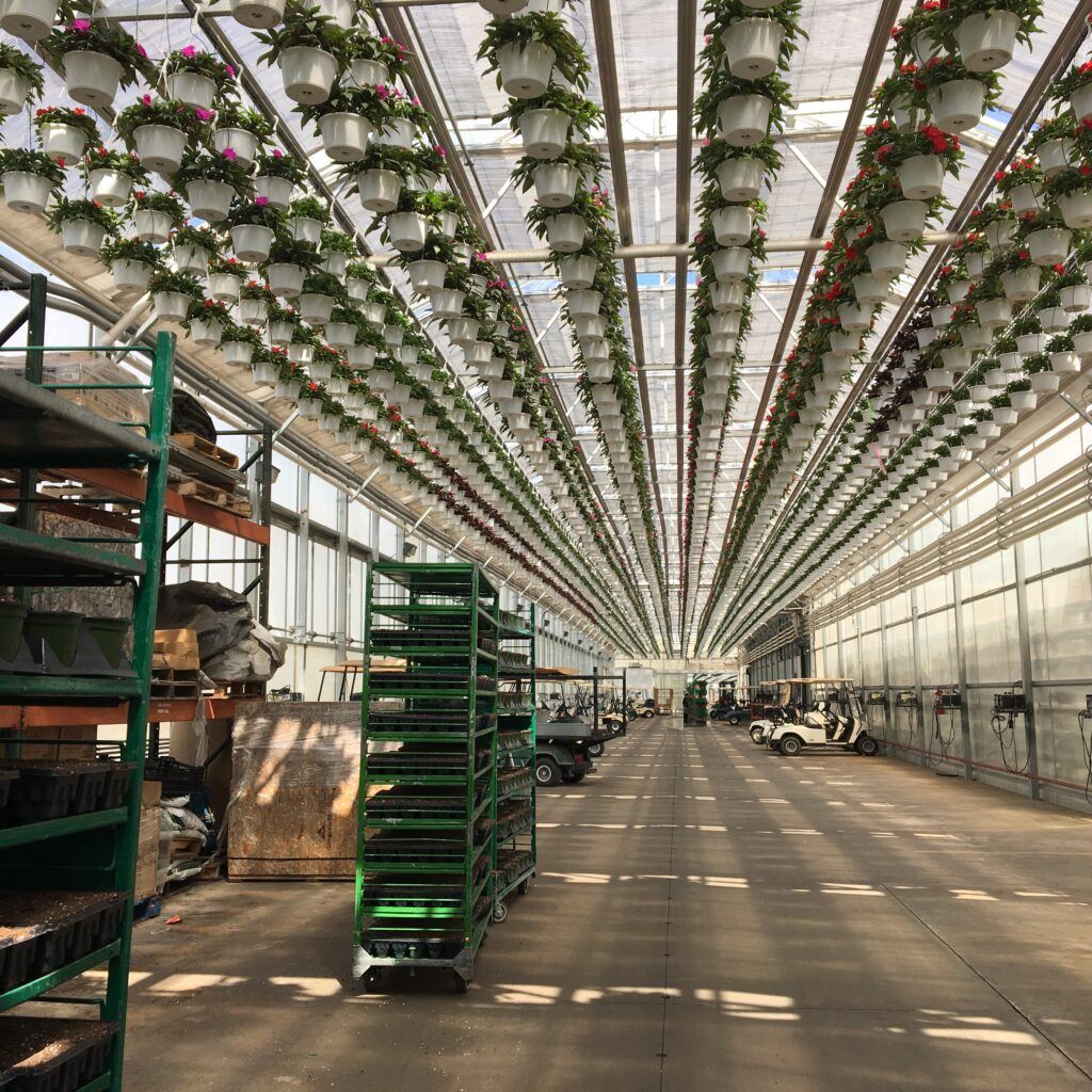 Stationary hanging basket watering systems work well over greenhouse loading docks.