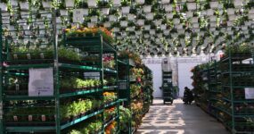 Hook-style hanging basket watering system over loading dock