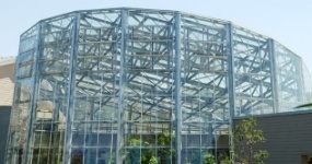 Glass Pool Enclosures