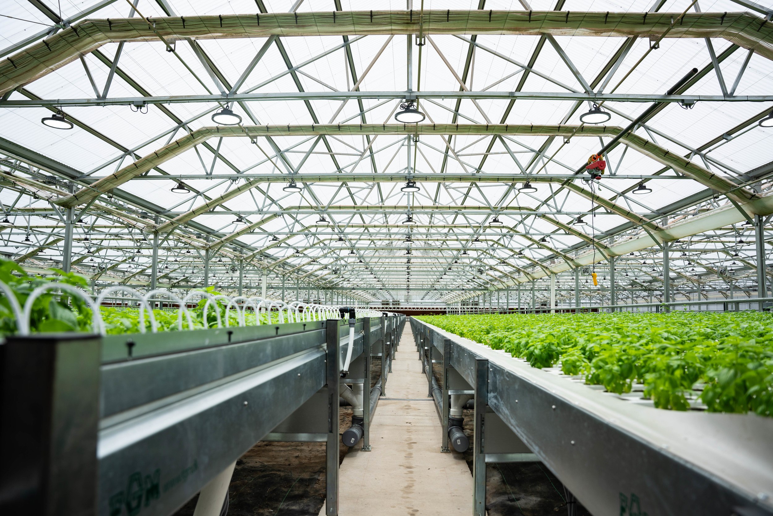 View along length of Vail greenhouse bay at Goodness Gardens.