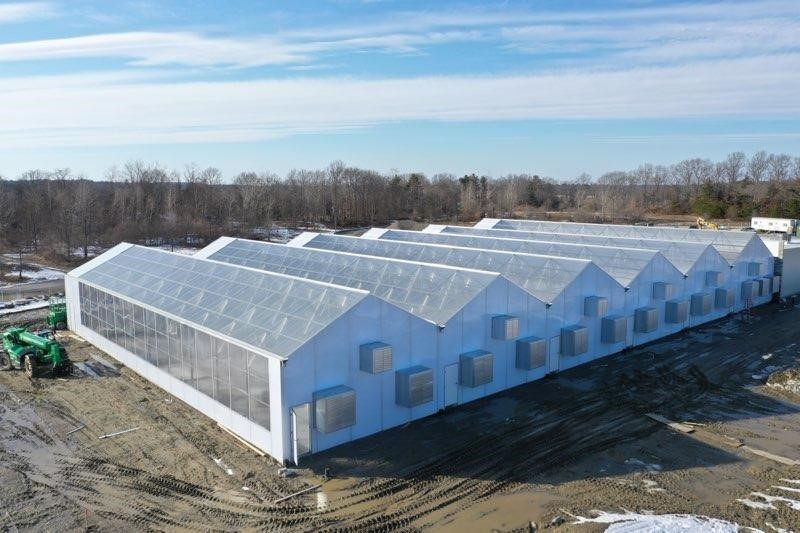 Finished Vali Hybrid cannabis greenhouse with glass sides